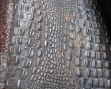 P8170303 [Desktop Resolution].JPG
